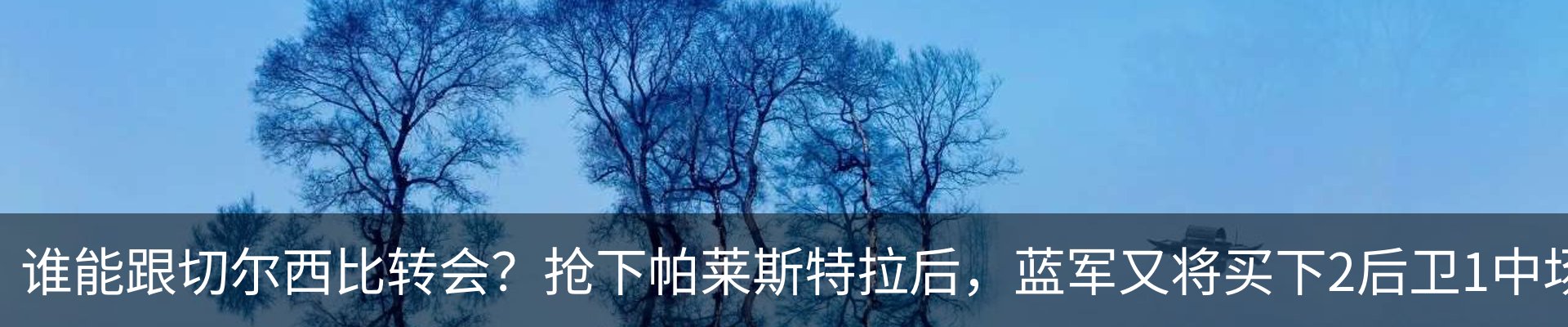 新闻动态