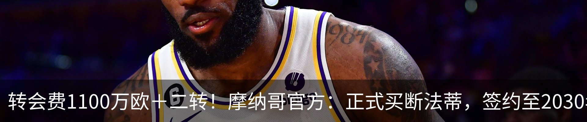 新闻动态