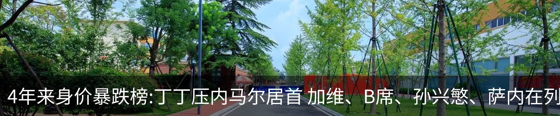 新闻动态